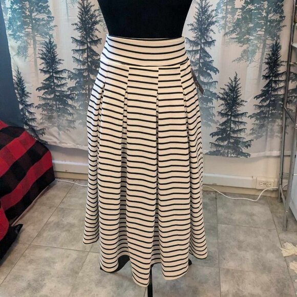 Ashley Blue Dresses & Skirts - Ashley Blue Striped Pleated Skirt – Size Small